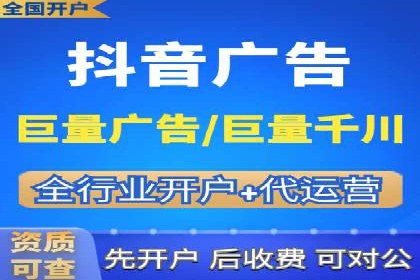 某电商平台的SEM广告投放策略及效果评估