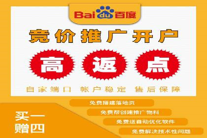 深度解析：百度竞价排名的成功案例及启示